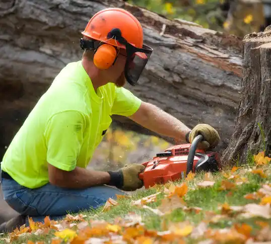 tree services Jamestown